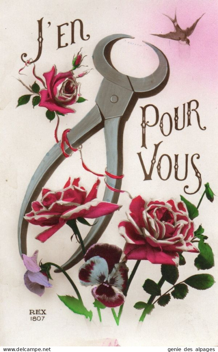 J'en Pince Pour Vous, Roses, Pensées, Hirondelle, Outil Tenaille Edition REX 1807, Dos Divisé, Non écrite - Philosophie