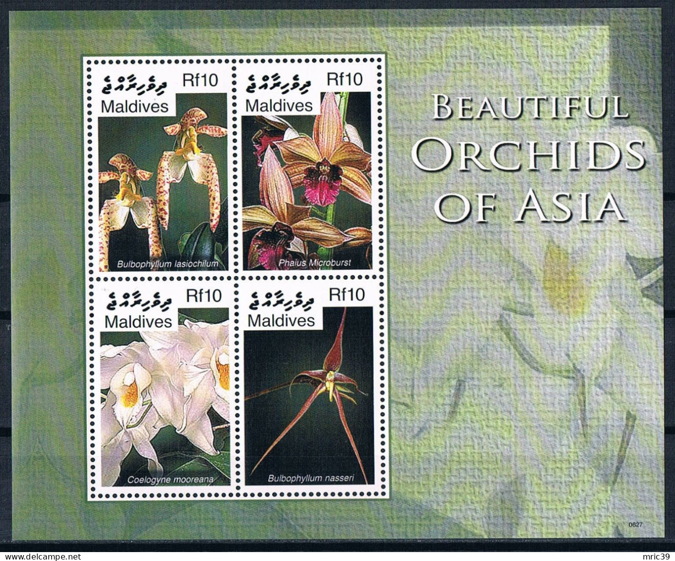 Bloc Sheet  Fleurs Orchidées Flowers Orchids  Neuf  MNH **   Maldives 2007 - Orchideen