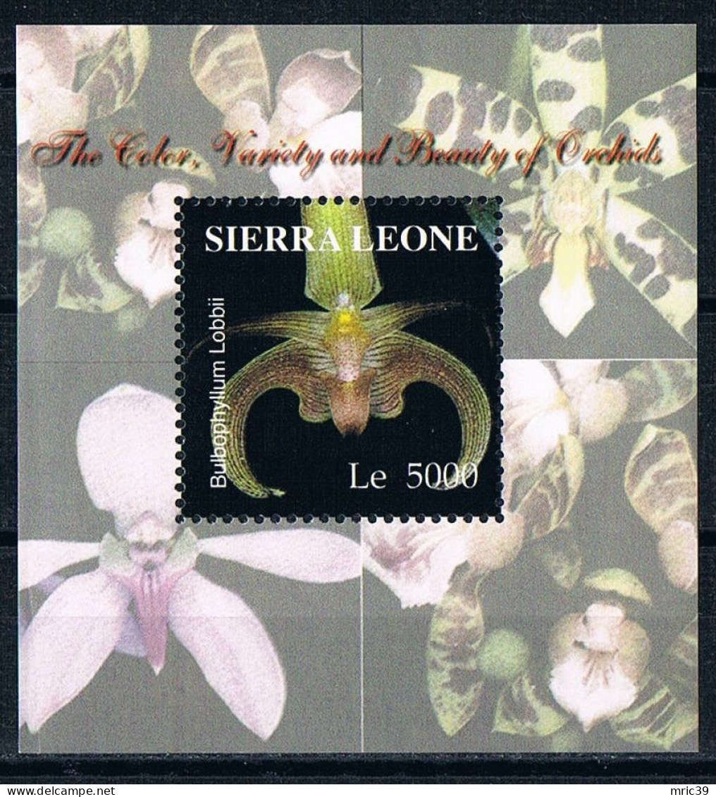 Bloc Sheet  Fleurs Orchidées Flowers Orchids  Neuf  MNH **  Sierra Leone 2004 - Orchidées