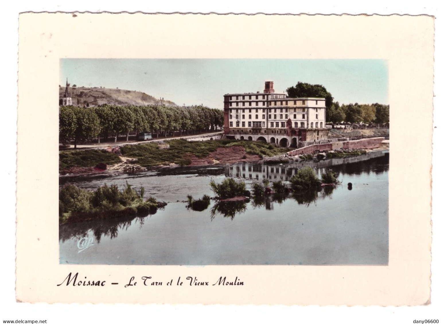 MOISSAC Le Tarn Et Le Vieux Moulin (carte Photo) - Moissac