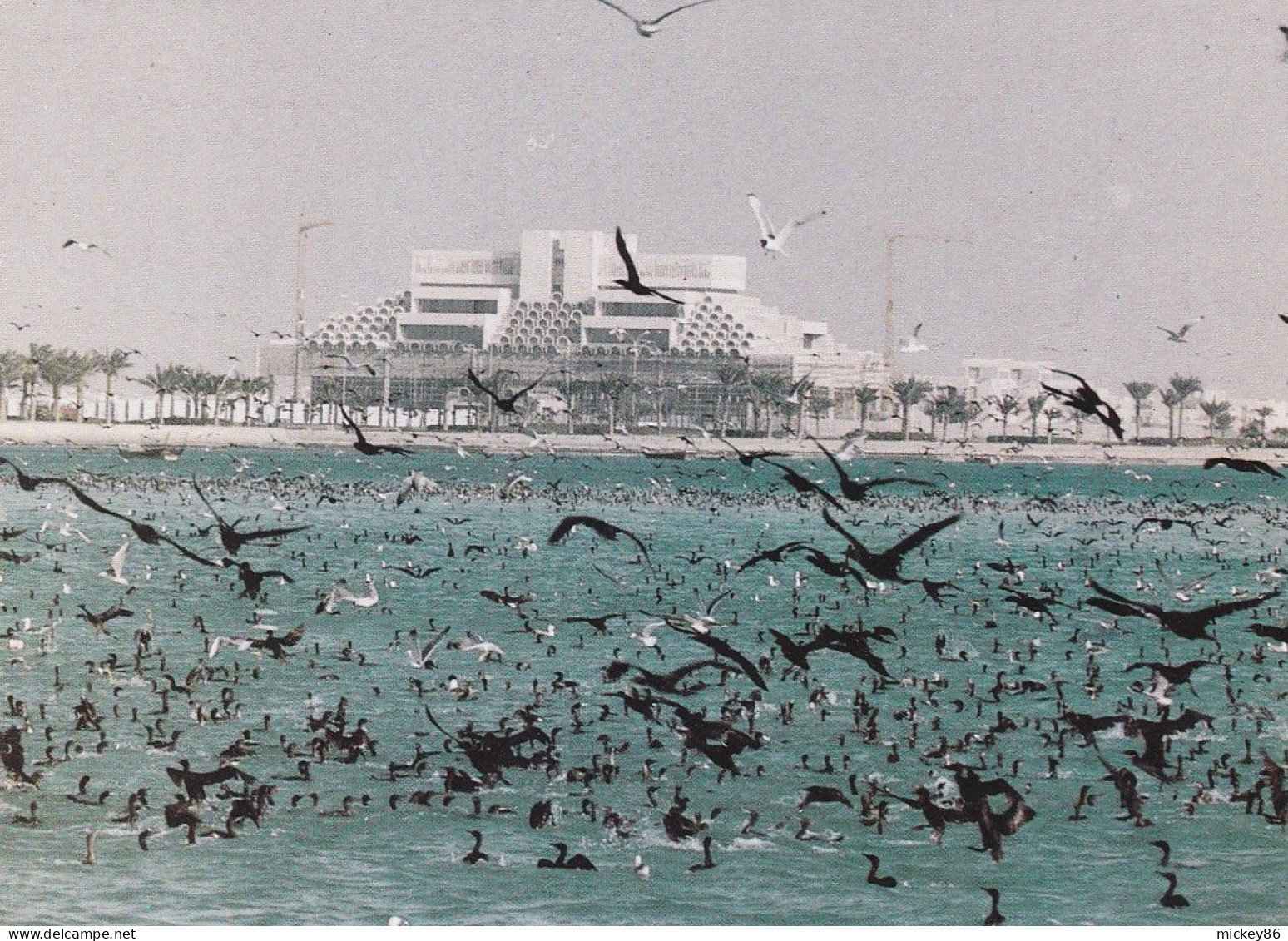 QATAR--1988-- DOHA   ( Bâtiment , Oiseaux) - Qatar