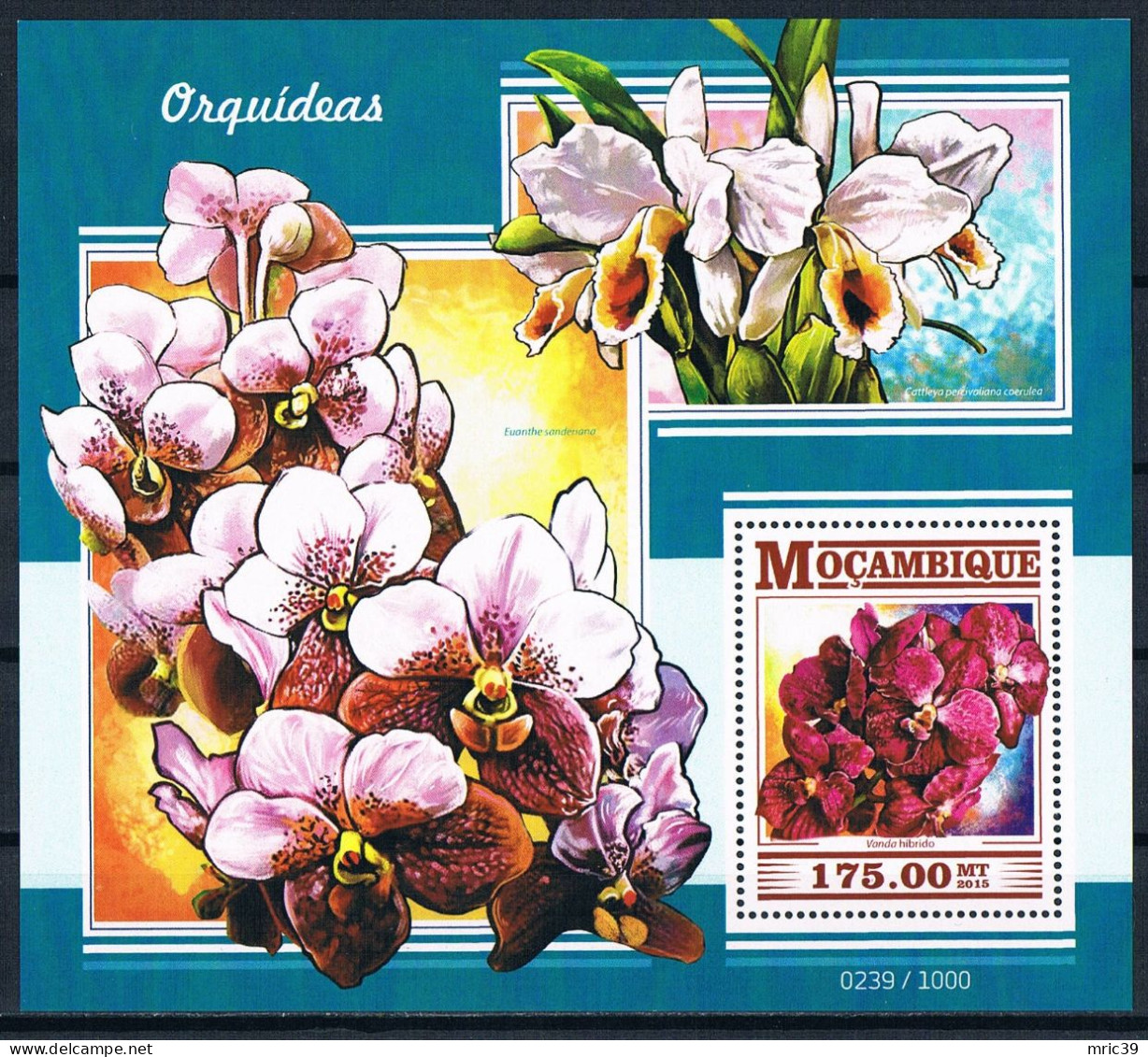 Bloc Sheet  Fleurs Orchidées Flowers Orchids  Neuf  MNH **   Mozambique Mocambique 2015 - Orchids