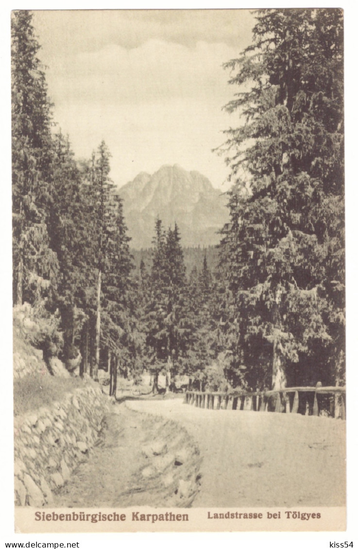 RO 89 - 21185 TULGHES, Harghita, Mountain, Romania - Old Postcard - Unused - Roemenië