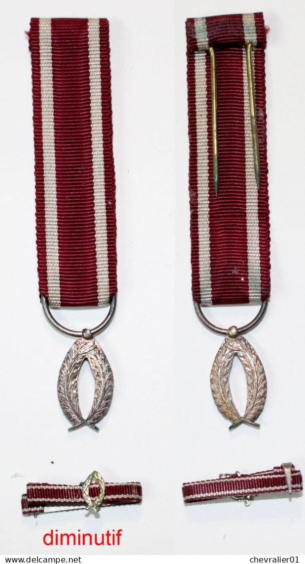 Médaille-BE-012A-di_Ordre De La Couronne_Palmes Argent_diminutif  Et Fixe Ruban De Rappel_21-05 - Belgium