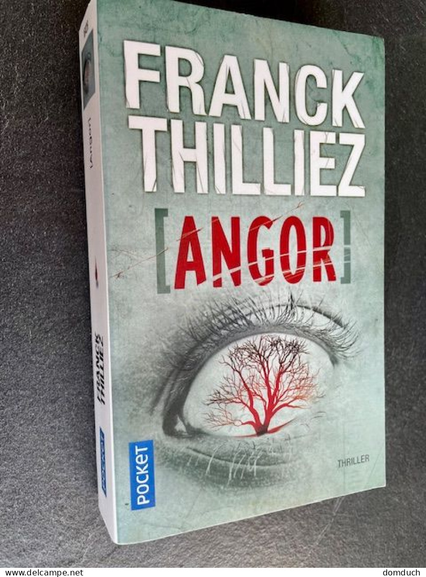 POCKET Thriller N° 16426    ANGOR    Franck THILLIEZ - Other & Unclassified