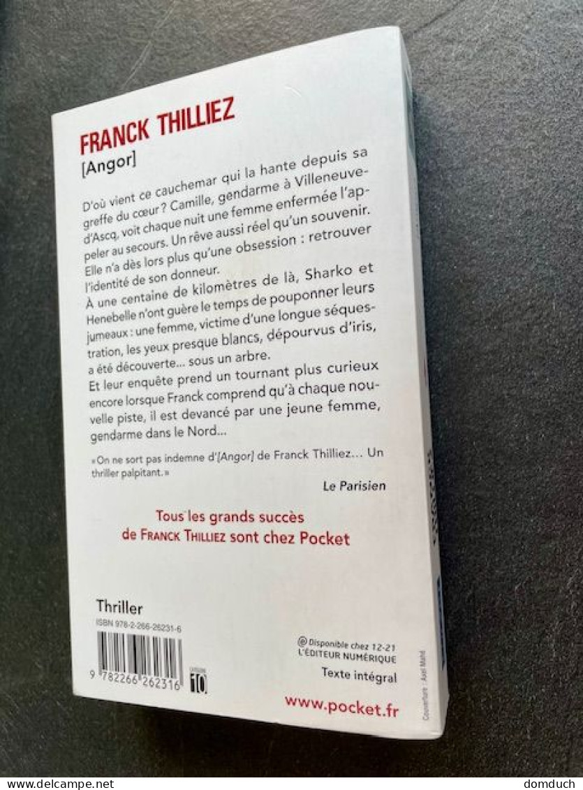 POCKET Thriller N° 16426    ANGOR    Franck THILLIEZ - Autres & Non Classés