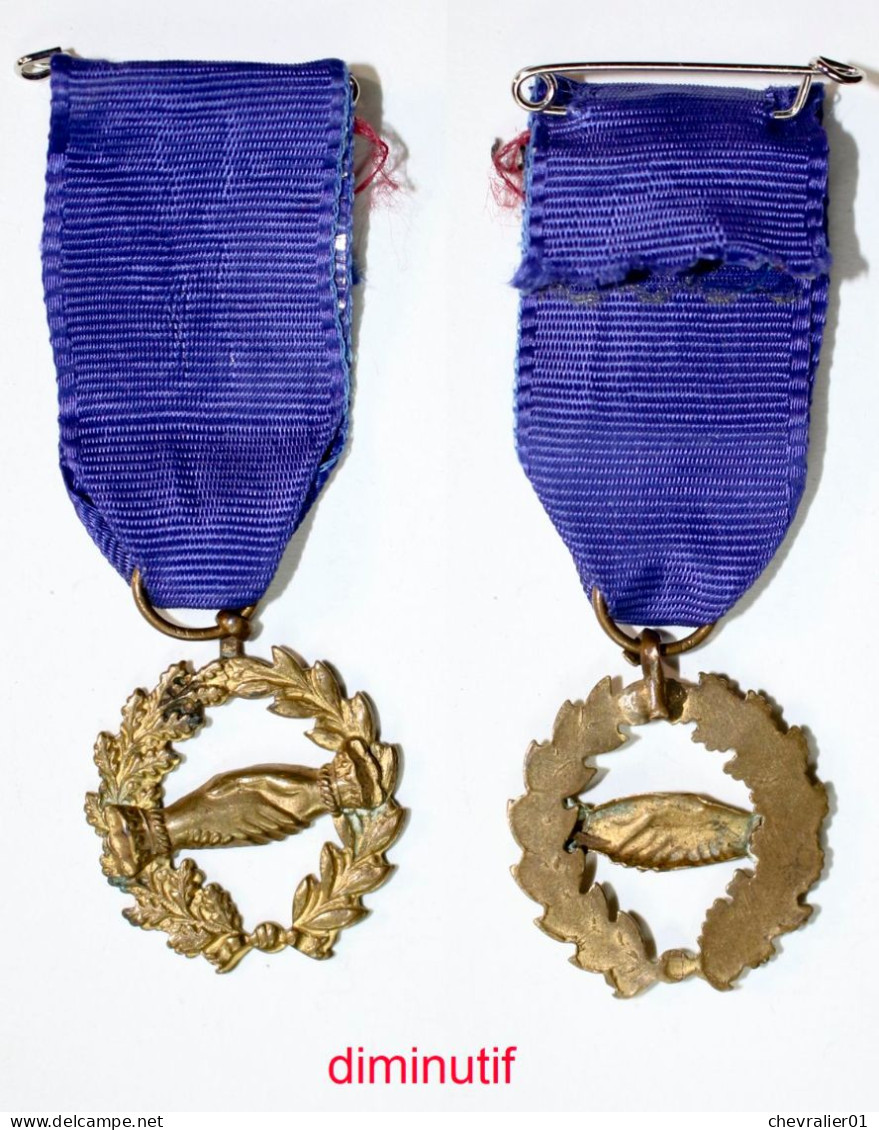 Médaille De Société-FR_02-di_société De Secours Mutuels_diminutif_20-29 - Professionnels / De Société
