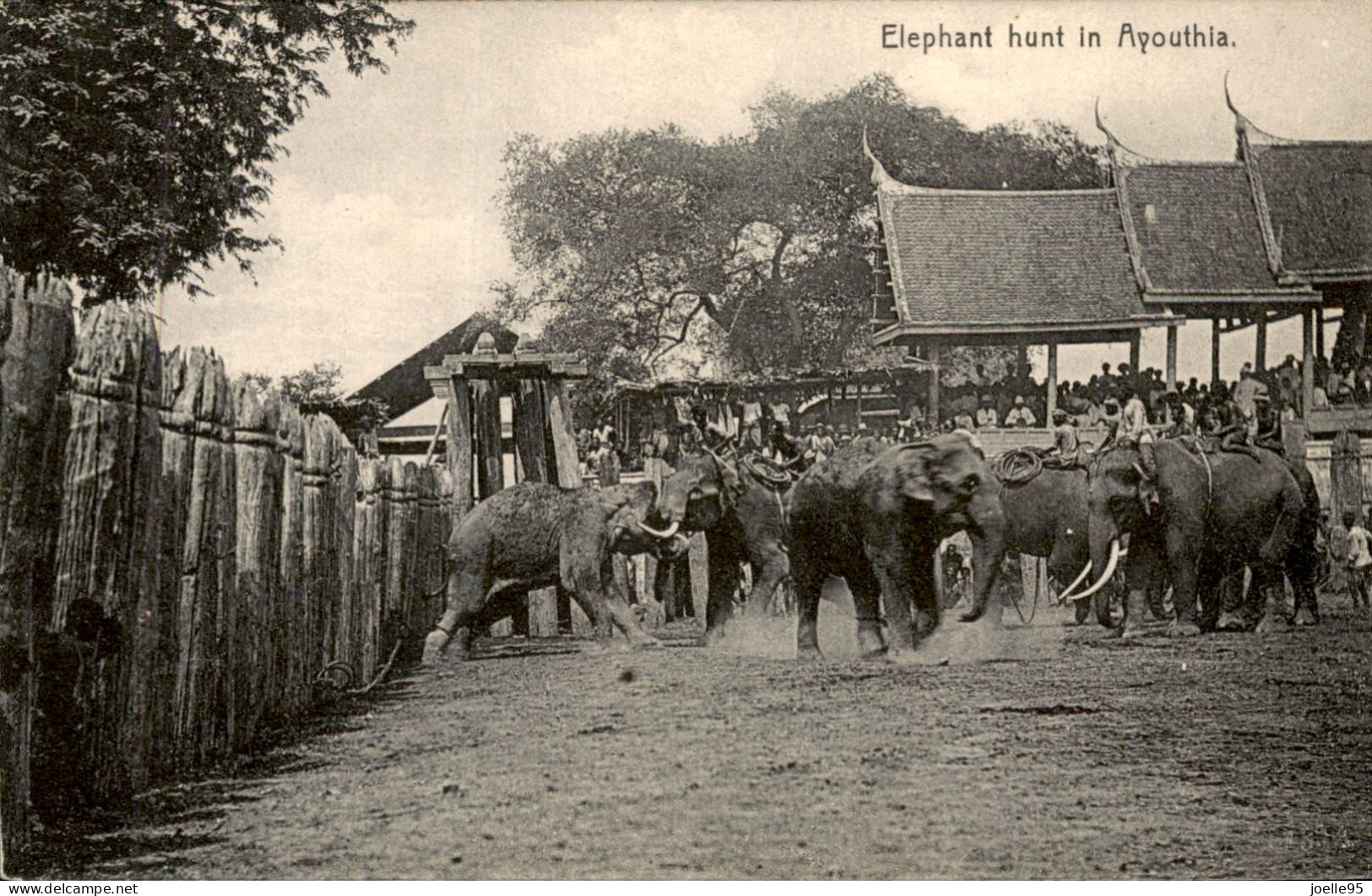 Thailand - Ayouthia - Elephant - 1910 - Thaïlande