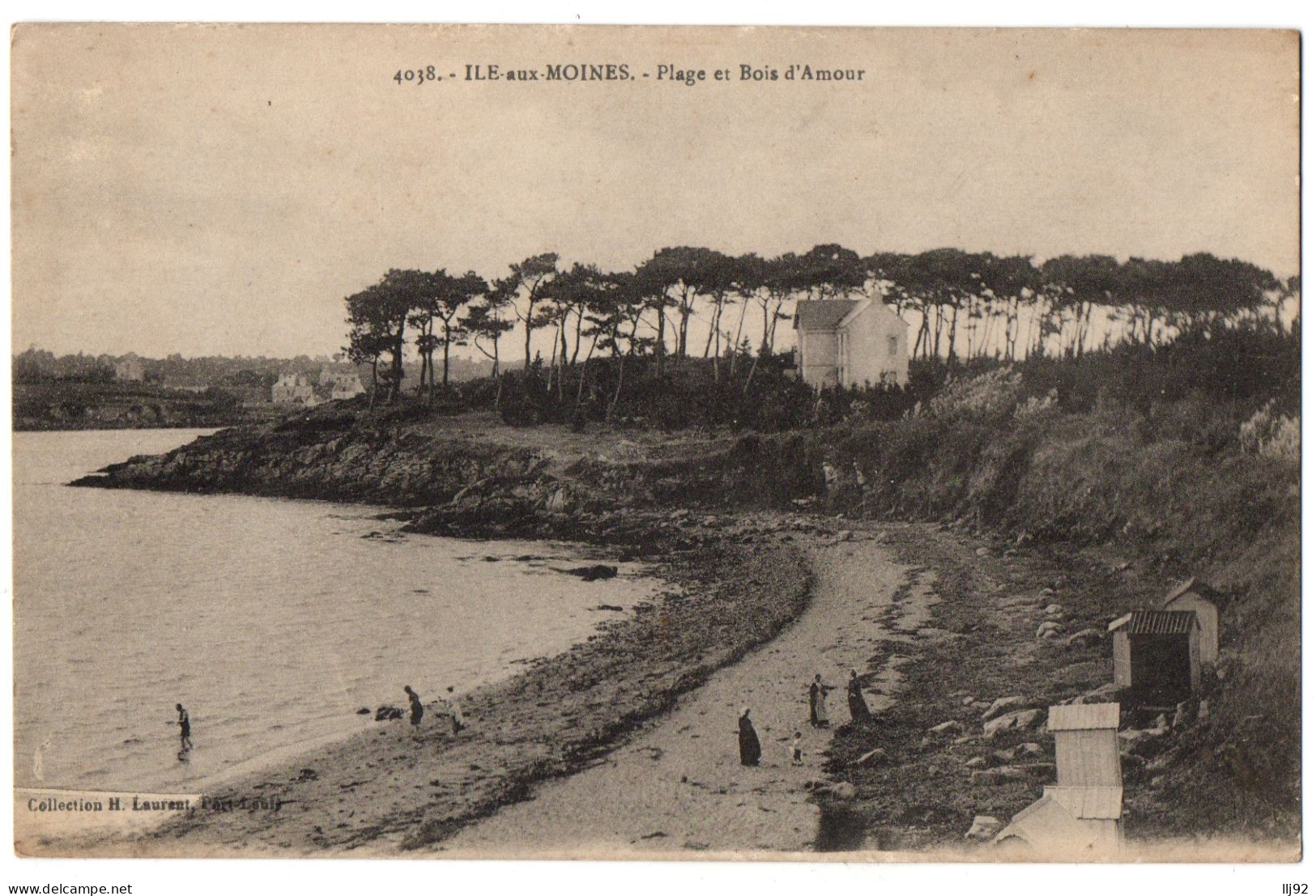 CPA 56 - ILE AUX MOINES (Morbihan) - 4038. Plage Et Bois D'Amour - Coll. H. Laurent - Ile Aux Moines