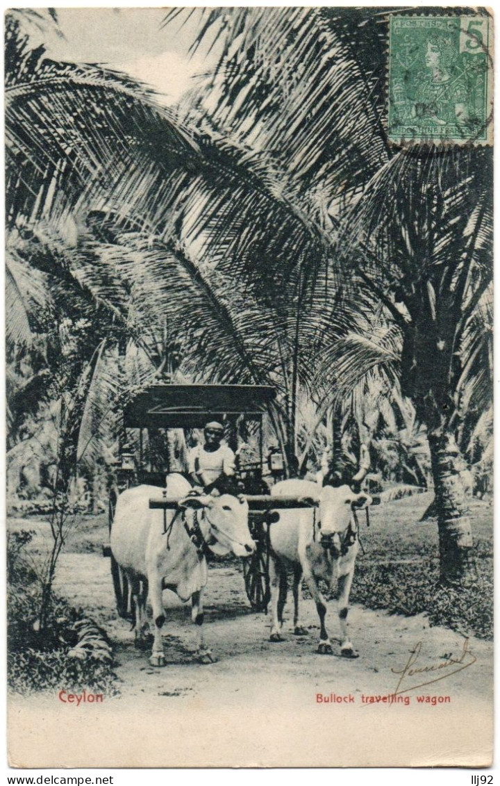 CPA SRI LANKA - CEYLON - Bullock Travelling Wagon -Ed. Plâté & Co - Sri Lanka (Ceylon)