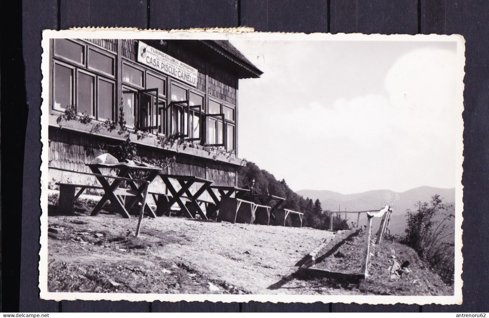 POSTCARD-ROMANIA-SINAIA-CABANA-PISCUL-CIINELUI-SEE-SCAN - Rumania