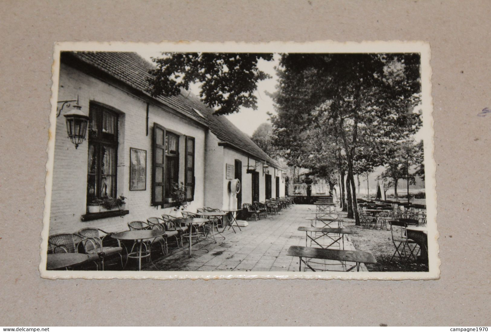 CPA - BRASSCHAAT ( ANTWERPEN KAPELLEN SCHOTEN ) - PEERDSBOS - MELKERIJ ( 1957 ) - Brasschaat