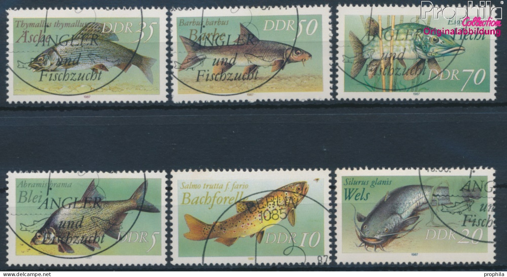 DDR 3095I-3100I (kompl.Ausg.) Gestempelt 1987 Süßwasserfische (10405843 - Gebraucht