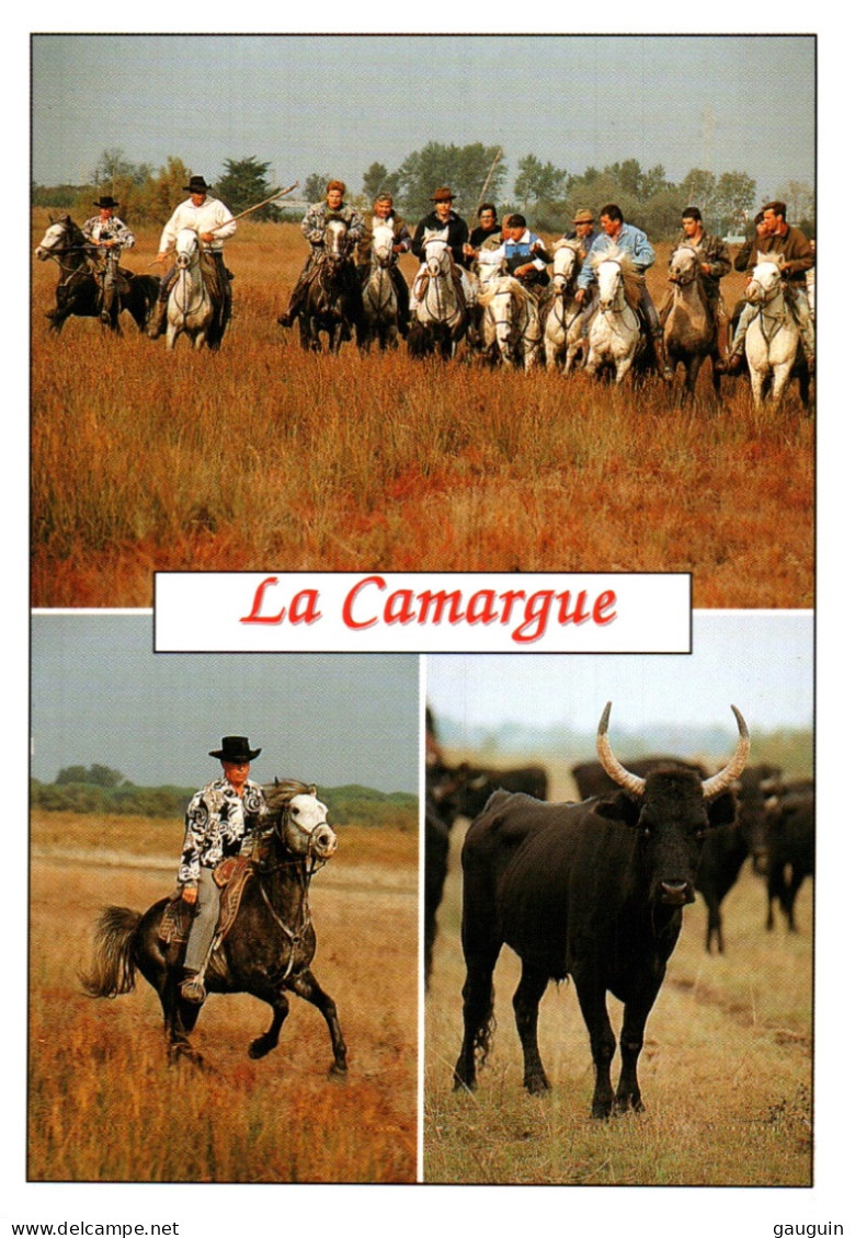 CPM - CHEVAL - CAMARGUE - Gardians ... Editions Du Soleil D.Paysan - Pferde