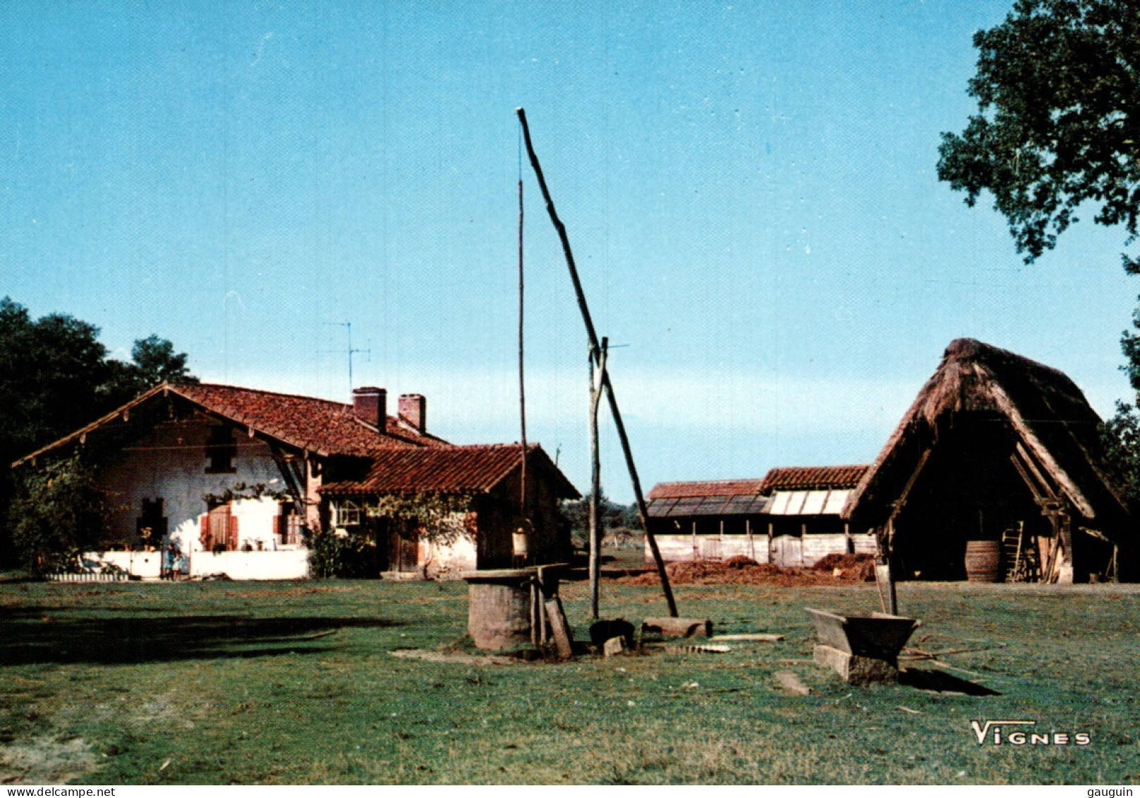 CPM - FERME - Visage Des LANDES - Ferme Landaise ... Edition Vignes - Fermes