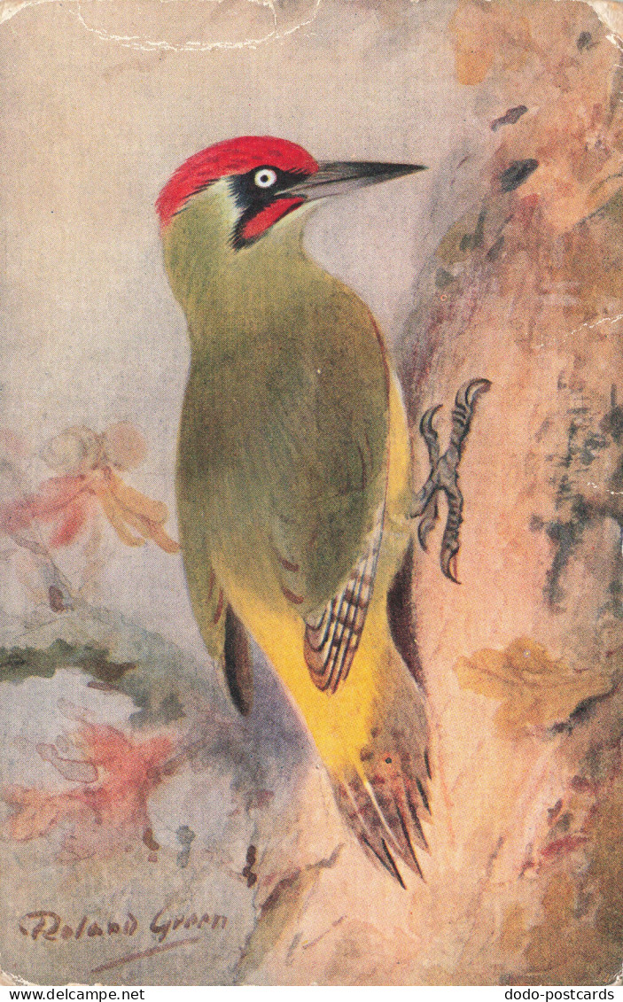 R209802 Green Woodpecker. R. S. Art Press. 1933. The Yaffle - Monde