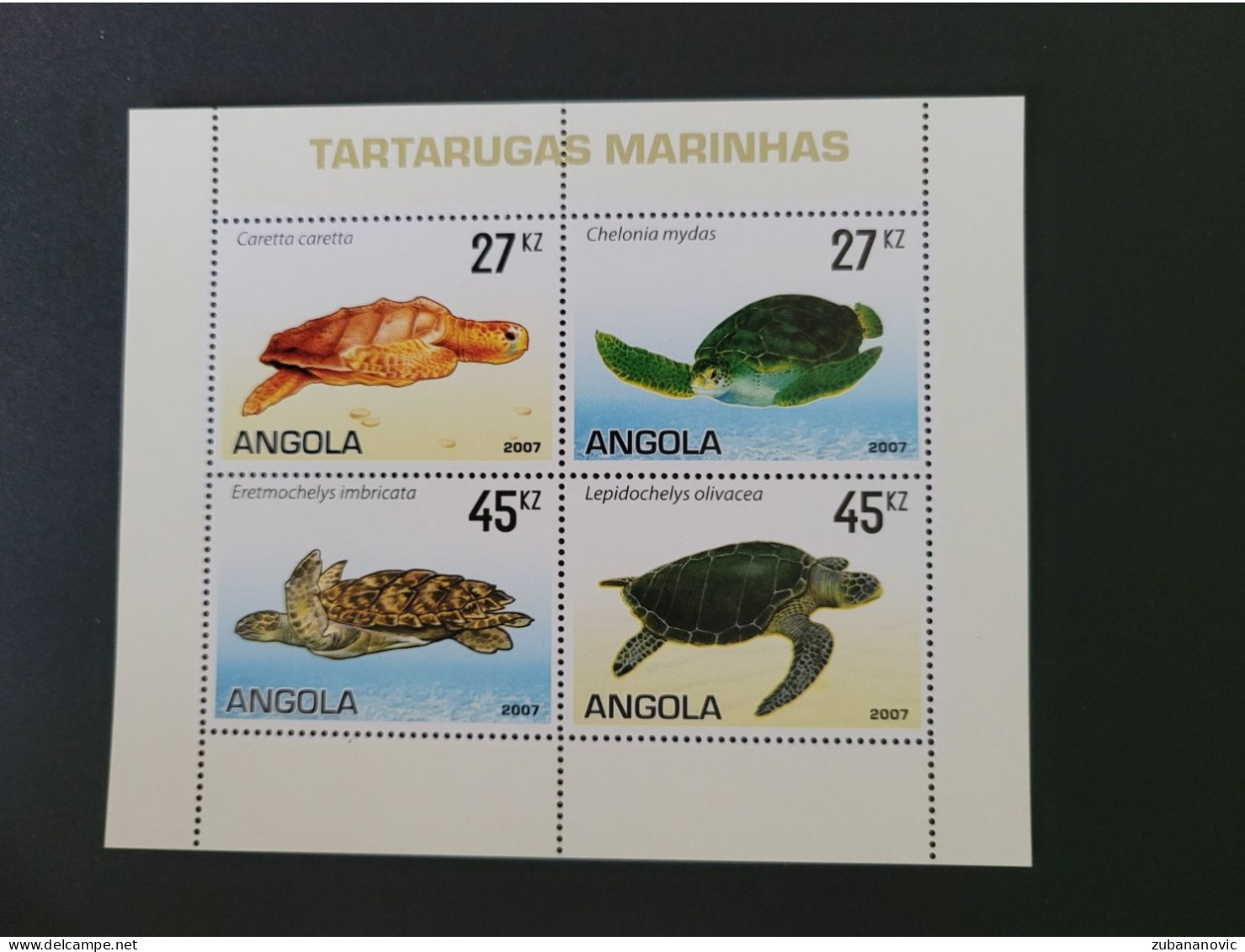 Angola 2007 Turtles - Schildpadden