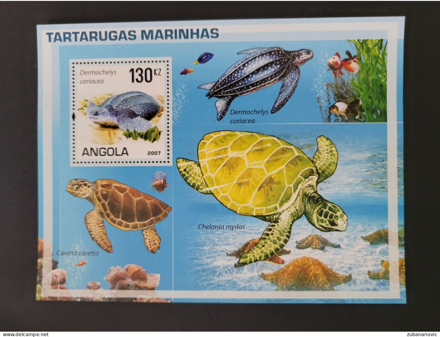 Angola 2007 Turtles - Schildkröten