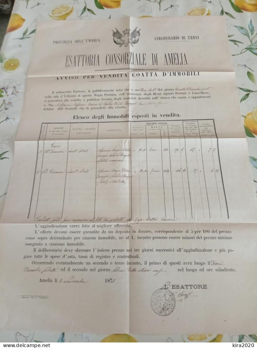 MANIFESTO  AMELIA  1875  (TERNI) - Non Classificati