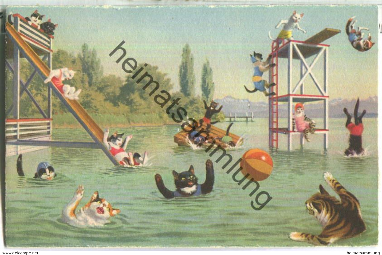 Vermenschlichte Katzen - Im Schwimmbad - No. 4695 Edition Max Künzli Zürich 6 - Bandes Dessinées