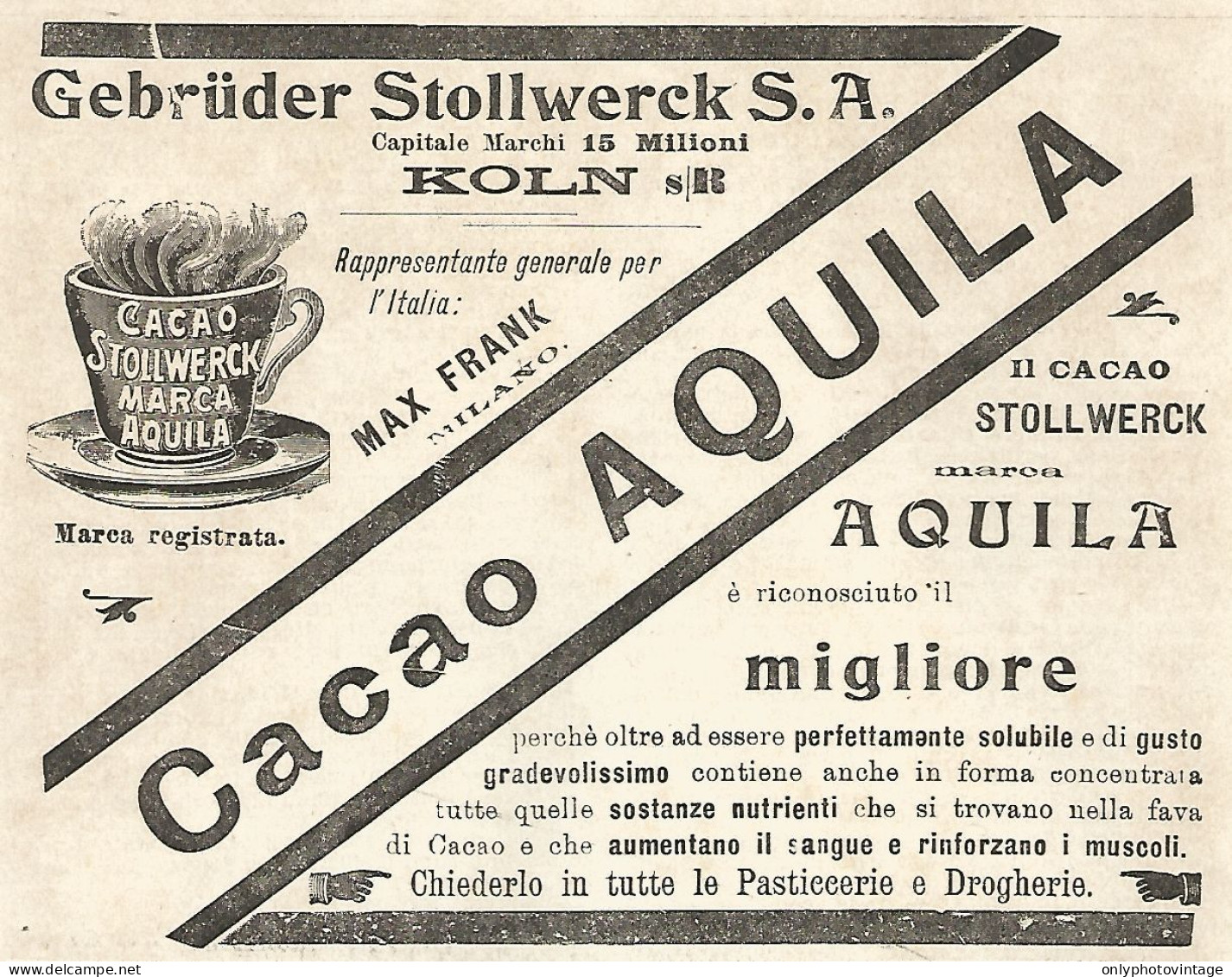 Cacao Stollwerck Marca Aquila - Pubblicità Del 1903 - Old Advertising - Werbung