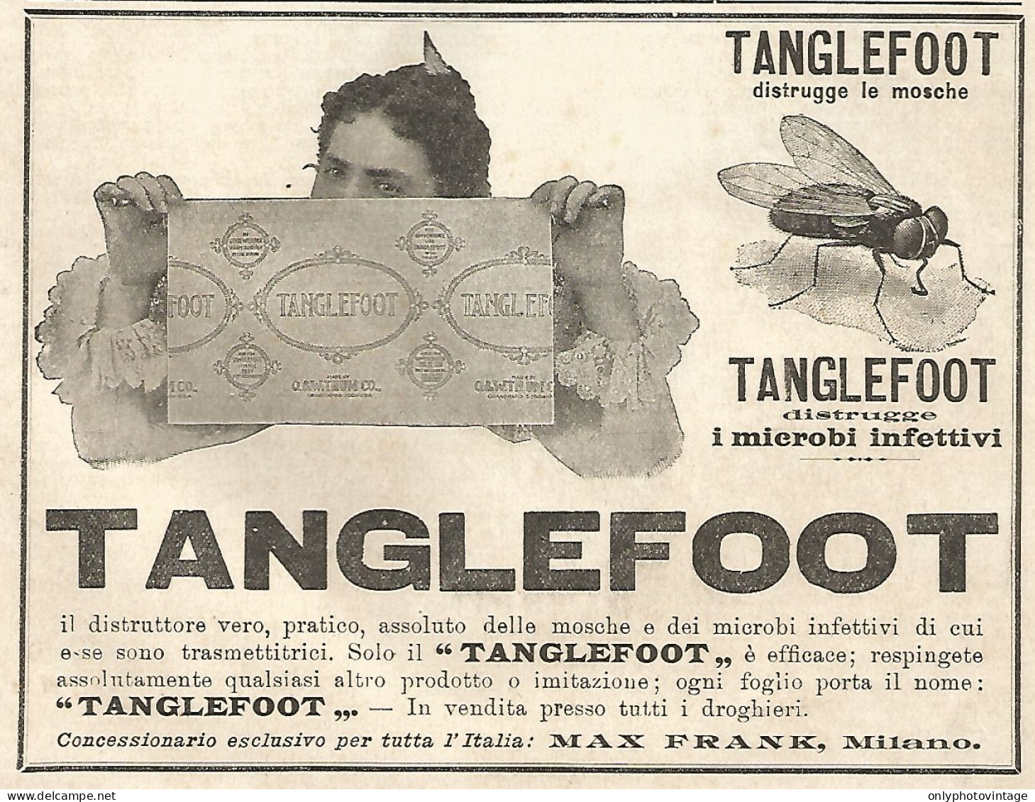 TANGLEFOOT Distrugge Le Mosche - Pubblicità Del 1903 - Old Advertising - Werbung