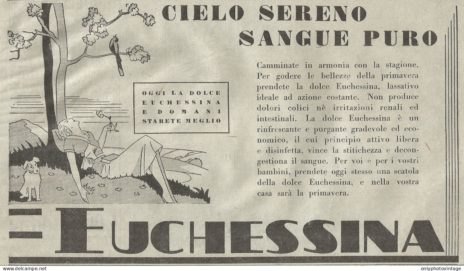 EUCHESSINA - Illustrazione - Pubblicità Del 1932 - Old Advertising - Werbung