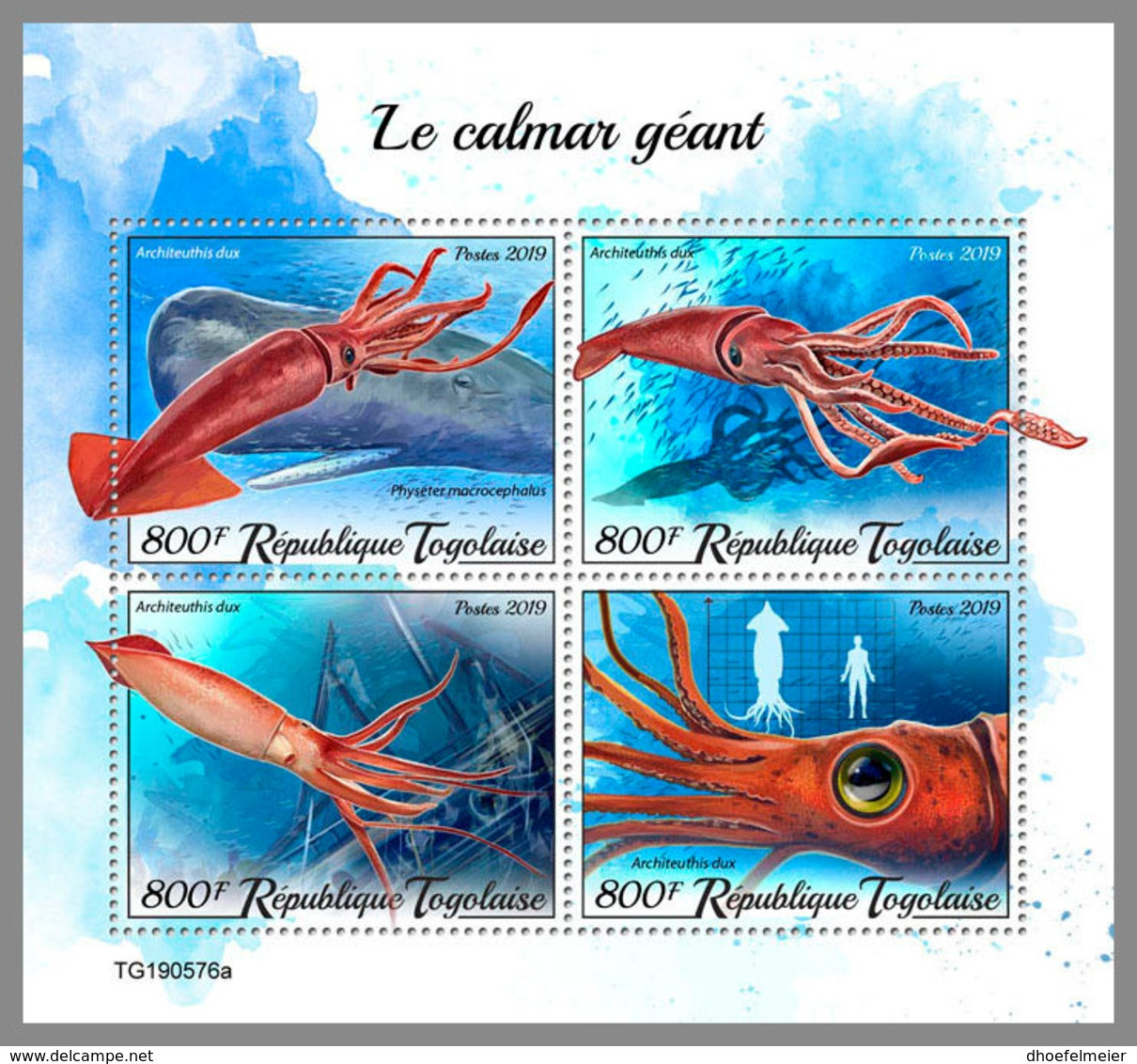 TOGO 2019 MNH Giant Squid Riesenkalmar Calmar Geant M/S - OFFICIAL ISSUE - DH2004 - Vie Marine