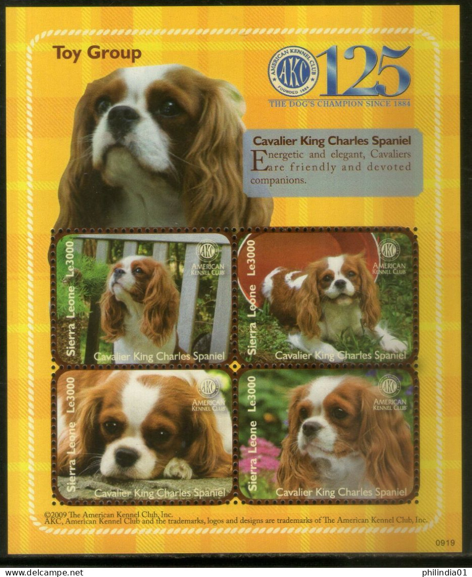 Sierra Leone 2009 Cavalier King Charles Dogs Animals Sc 2949 M/s MNH # 7993 - Chiens