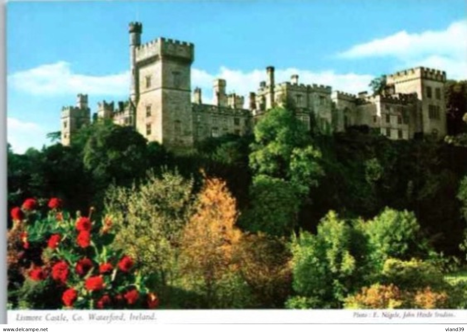 LISMORE CASTLE, Co    -  Non Circulée - Waterford