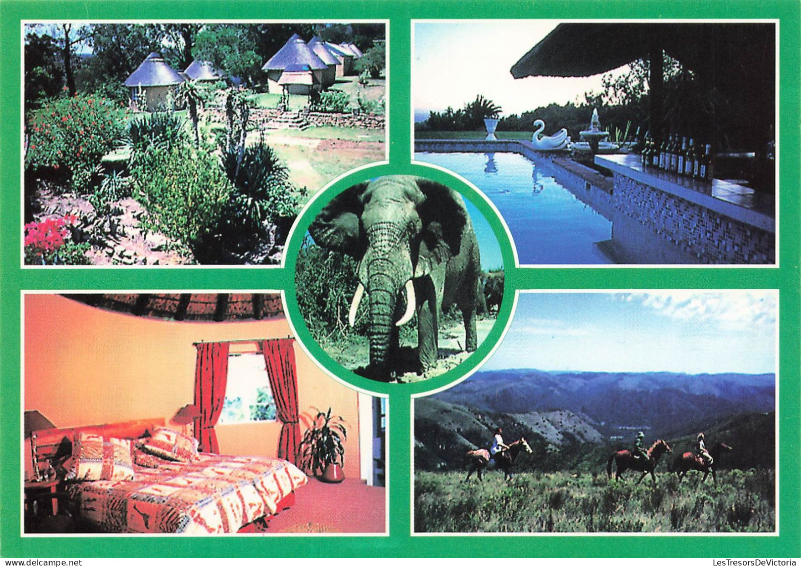 AFRIQUE DU SUD - A Stay To Remember - Centre - Elephants At Addo National Elephant Park - Rondawels - Carte Postale - Afrique Du Sud