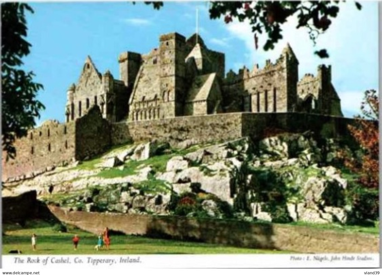 THE ROCK Of CASHEL, Co.    -  Non Circulée - Tipperary