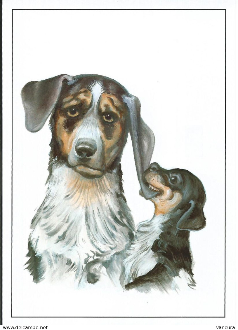 Picture Postcard 875 Czech Republic Puppies - Czech National Breeds Of Dogs: Czech Spotted Dog 2016 - Hunde