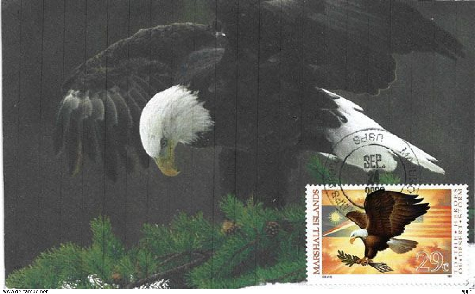 MARSHALL ISLAND: American Eagle (Bald Eagle)   MAXI-CARD From Majuro Marshall Islands - Eagles & Birds Of Prey