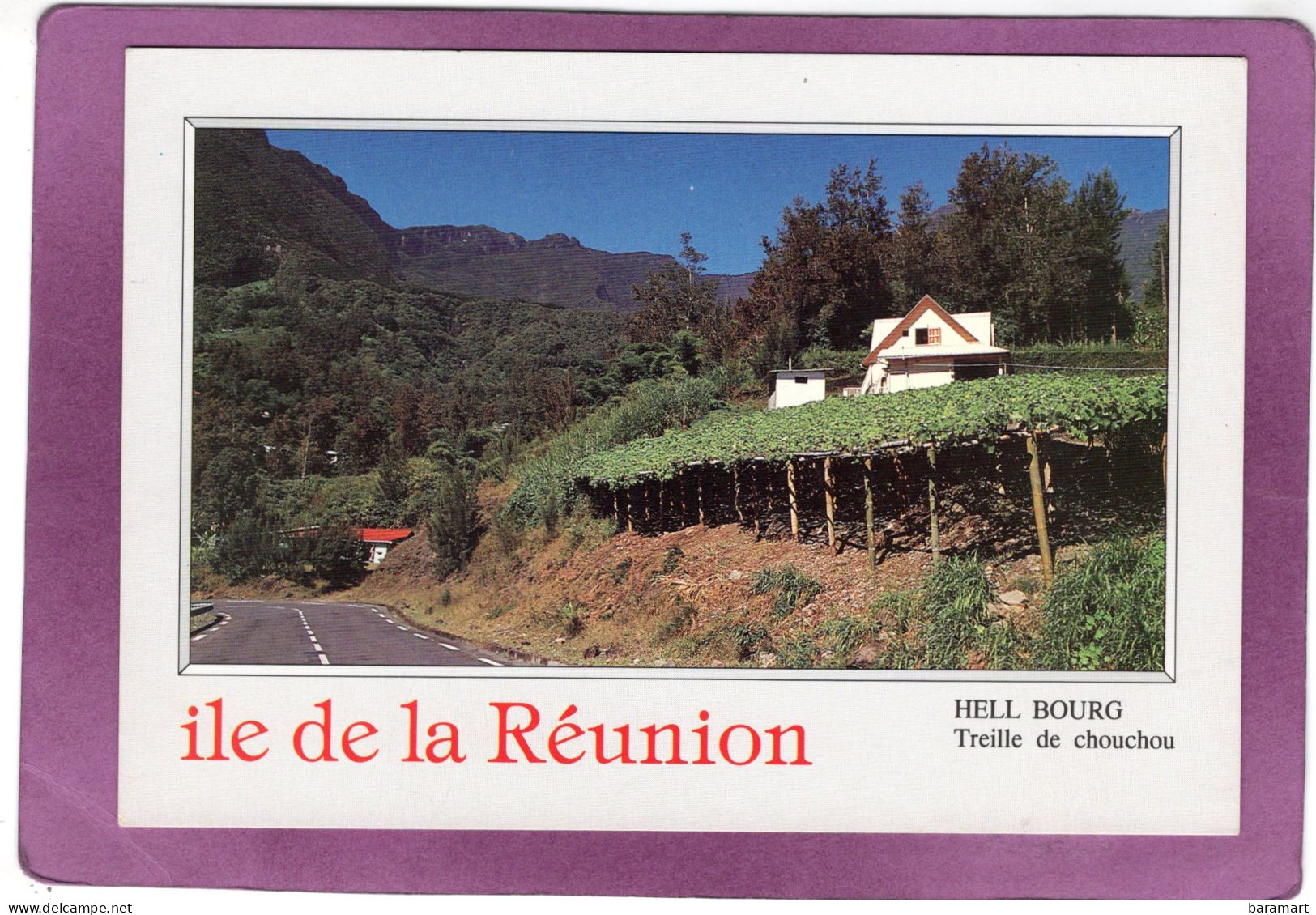 97 974 ILE DE LA REUNION Salazie  HELL BOURG  Treille De Chouchou - Other & Unclassified