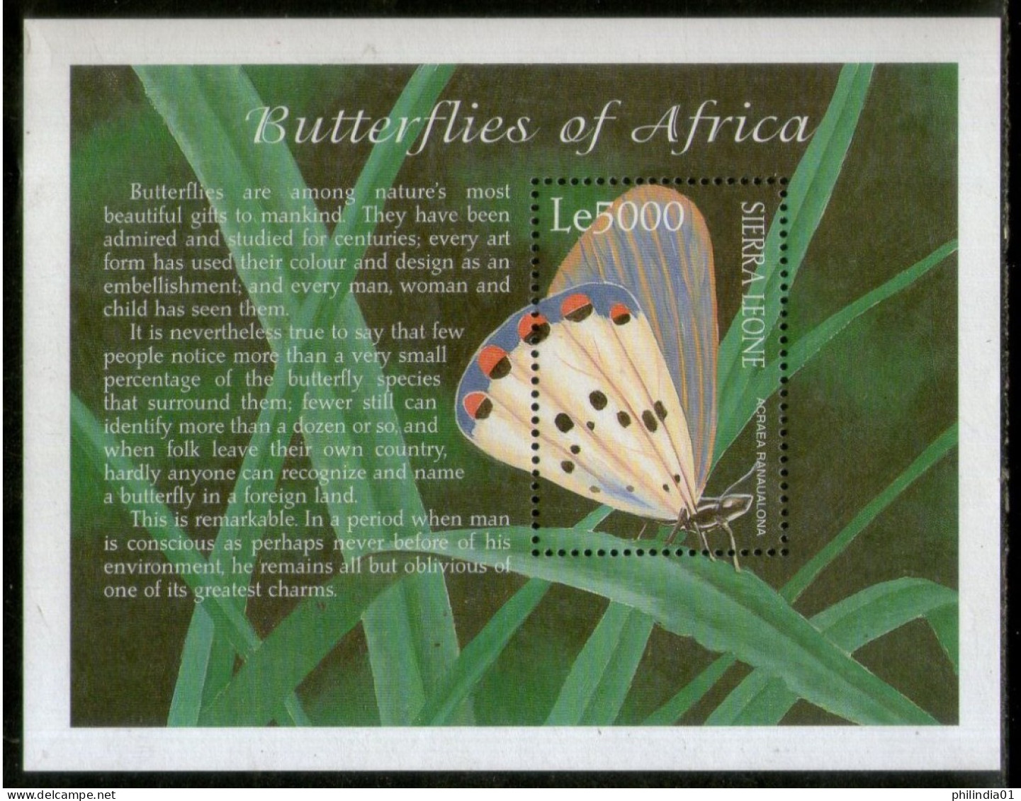 Sierra Leone 2001 African Butterflies Moth Insect Sc 2437 M/s MNH # 5619 - Schmetterlinge