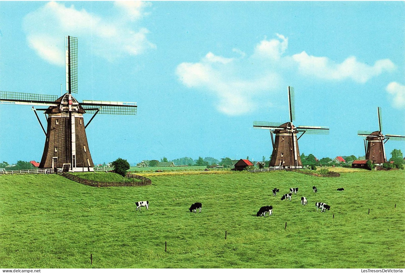 PAYS-BAS - Leidschendam / Holland - Moulins - Vaches - Paysages - Paturage - Carte Postale - Leidschendam