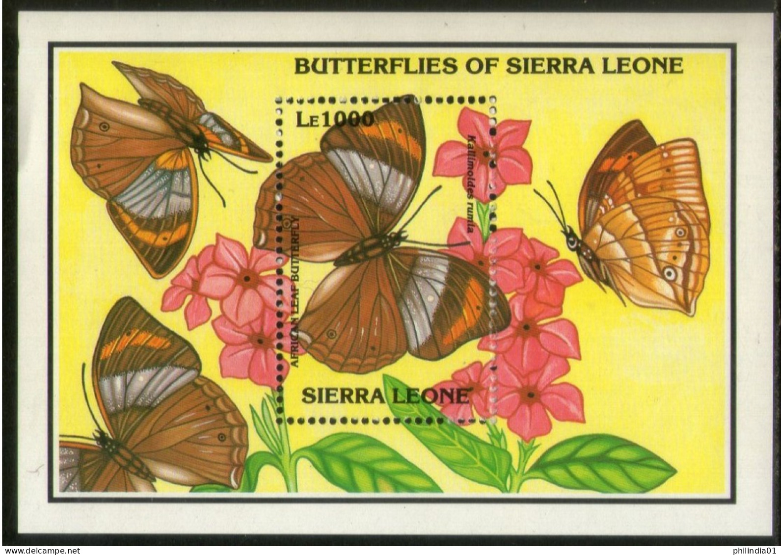 Sierra Leone 1993 African Leaf Butterflies Moth Insect Sc 1642 M/s MNH # 550 - Mariposas