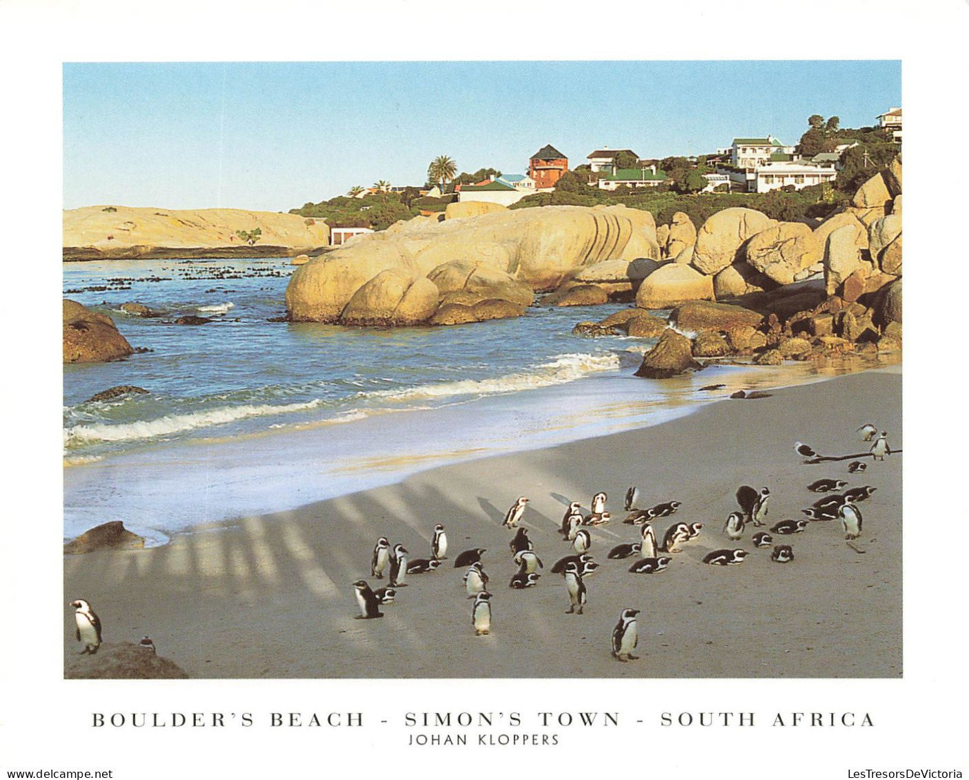 AFRIQUE DU SUD - Boulder's Beach - Simon's Town - South Africa - Johan Kloppers - Pingouin - Carte Postale - South Africa