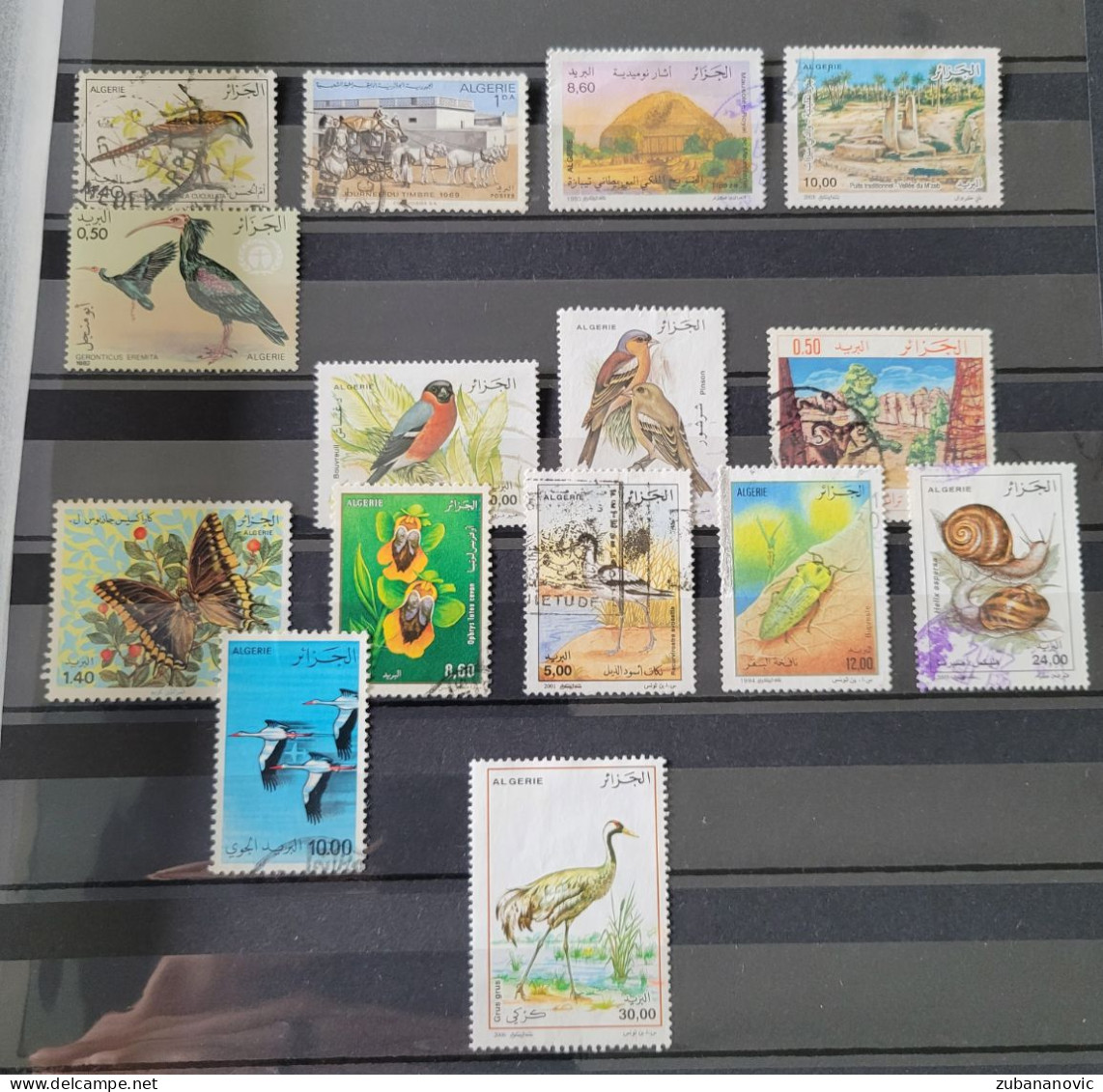 Algerie Collection 122 Stamps - Sammlungen (ohne Album)