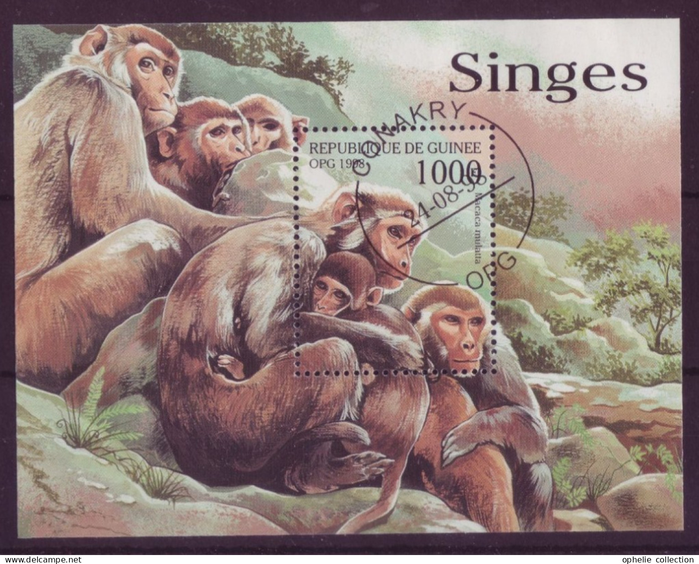 Afrique - Guinée - BLF- 1998 - Singes - 7216 - Guinée (1958-...)