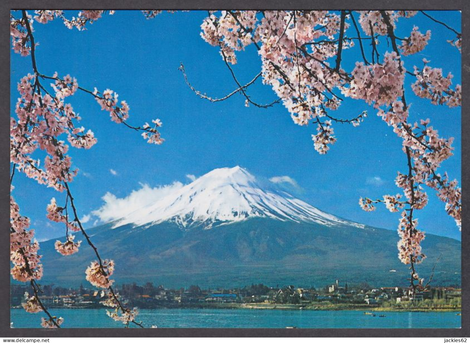 121175/ Mt. Fuji And Cherry Blossoms - Other & Unclassified