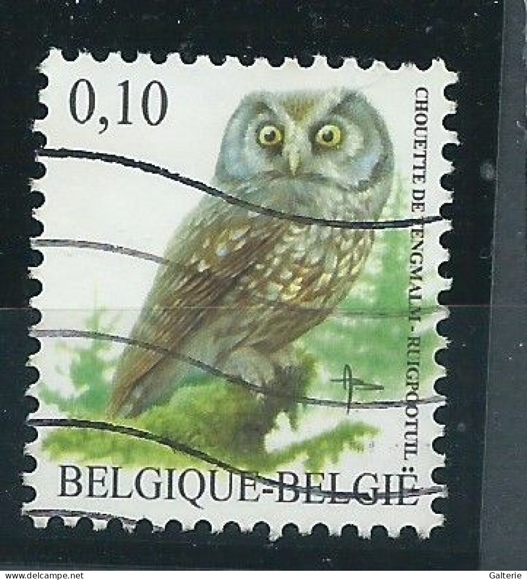 BELGIQUE - Obl-2007-COB N° 3724 - Chouette Boréale - Usati