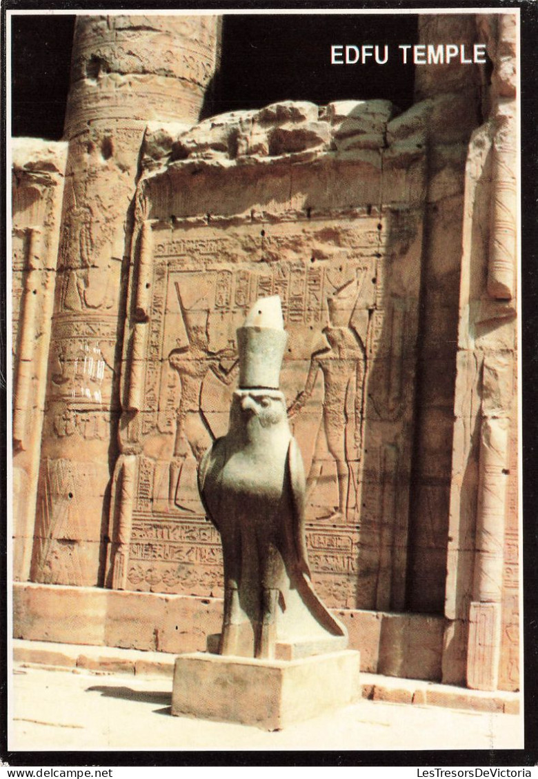 EGYPTE - Edfu Temple - The Statue Of Hourus - Statue - Carte Postale - Edfou