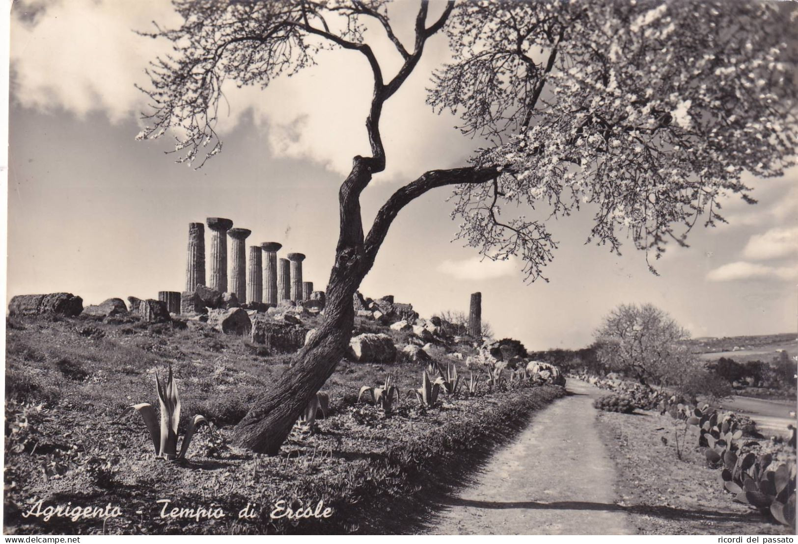 Cartolina Agrigento - Tempio Di Ercole - Agrigento