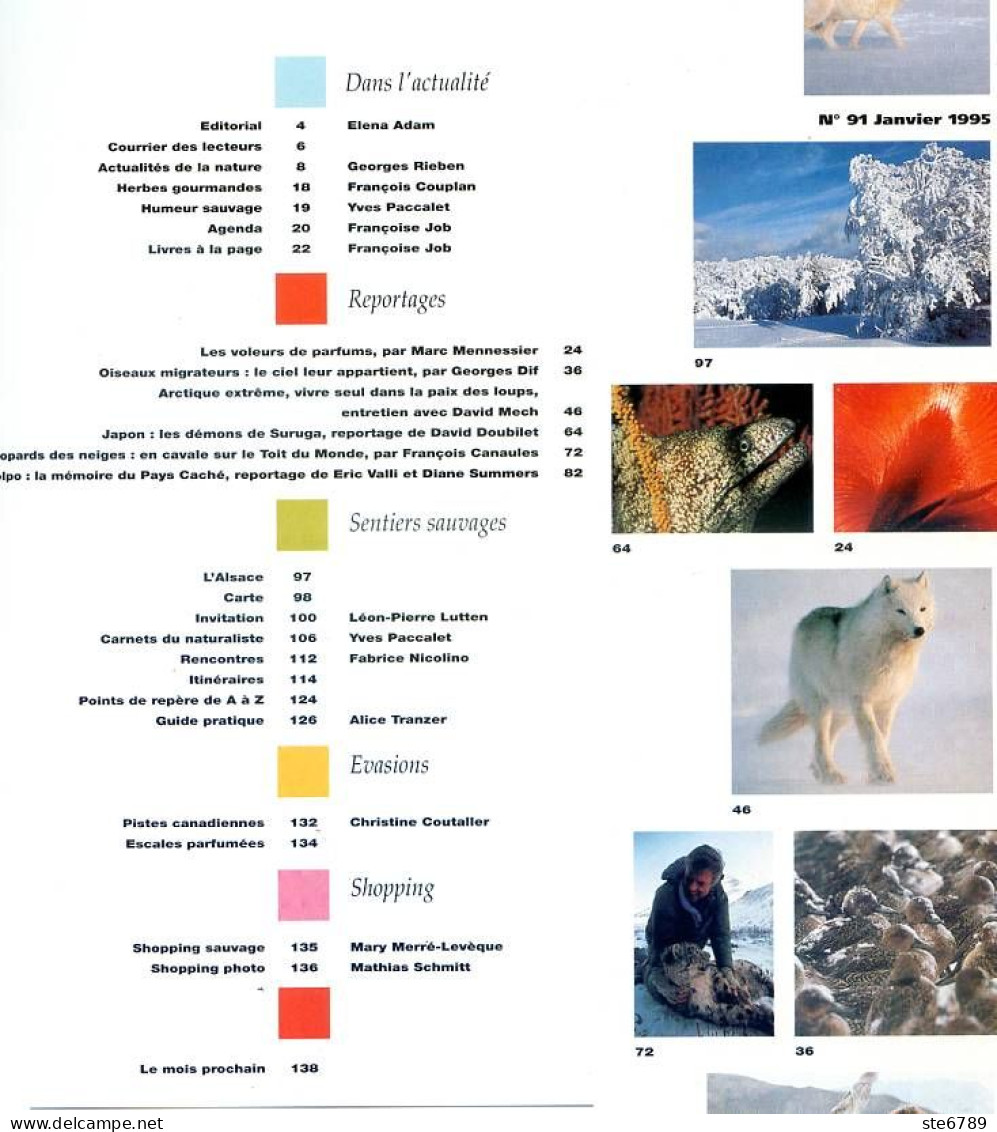TERRE SAUVAGE N° 91 Loup Arctique , Leopard Des Neiges , Oiseaux Migrateurs Dolpo Suruga  Sentiers  Vosges Alsace - Tierwelt
