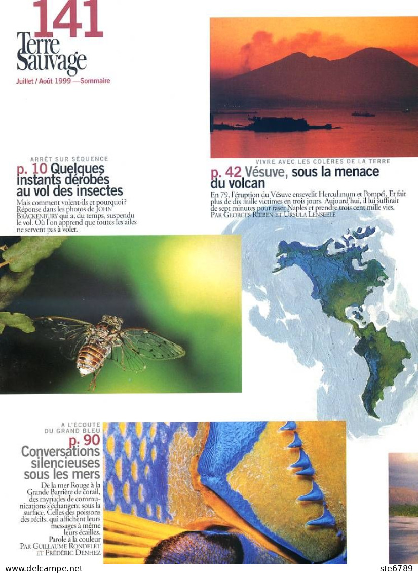 TERRE SAUVAGE N° 141 Animaux Vols Insectes , Ultimes Terres Vierges , Tigres En Inde , Sentiers Pays Basque - Animaux