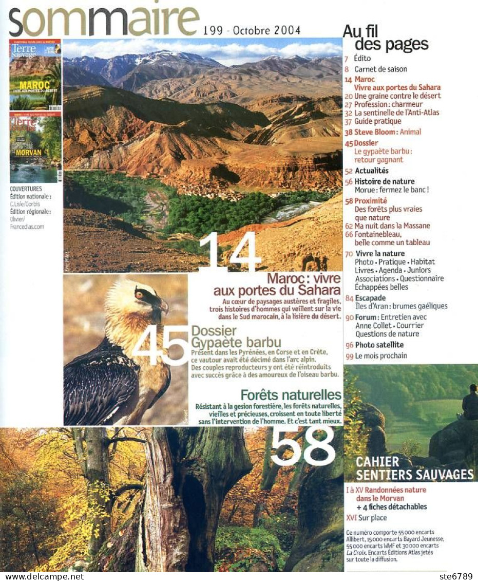 TERRE SAUVAGE N° 199 Maroc , Gypaete Barbu , Forets Naturelles , Sentiers Sauvages Rando Morvan - Aardrijkskunde