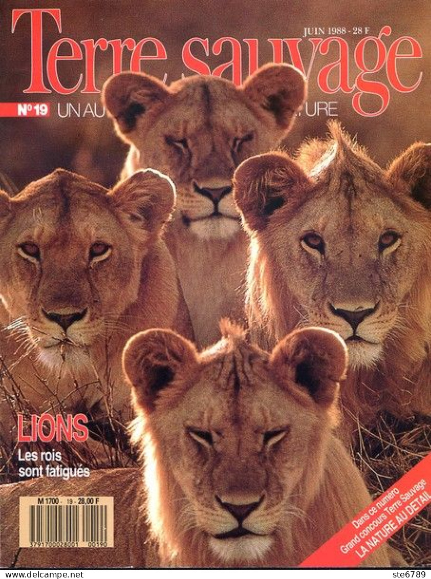 TERRE SAUVAGE N° 19 Animaux Lions Flamant ,  Géographie Bergers Des Cévennes - Tierwelt