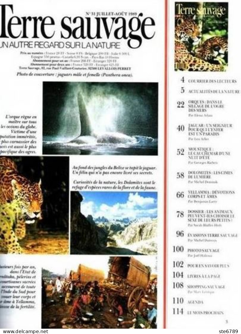 TERRE SAUVAGE N° 31 Animaux Jaguard Orque Moustiques Géographie Inde Dolomites - Animaux